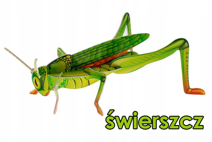

Puzzle 3D Świerszcz owady