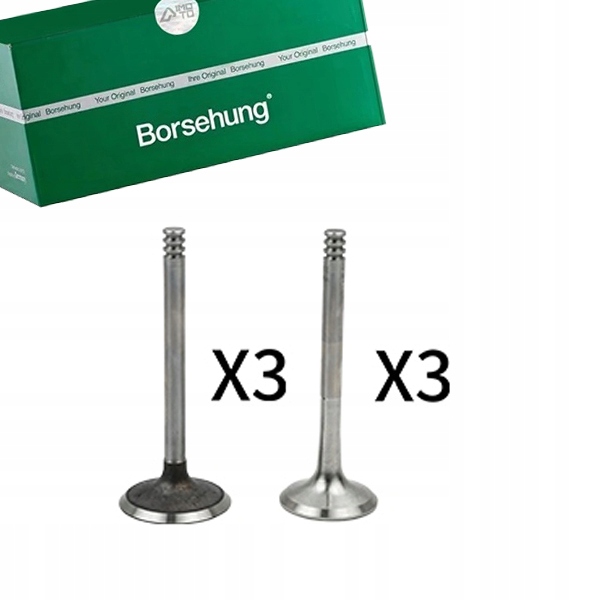 B18765 - ВЫХЛОПНЫЕ ВСАСЫВАЮЩИЕ КЛАПАНЫ KPL BORSEHUNG