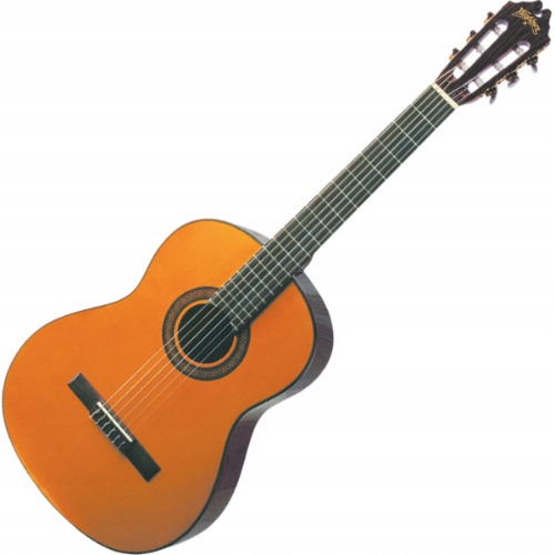 kytara klasická Washburn C 40 (n)