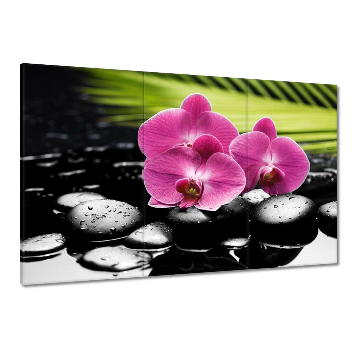 Obrazy 120x80 Spa Kameny a oleandry