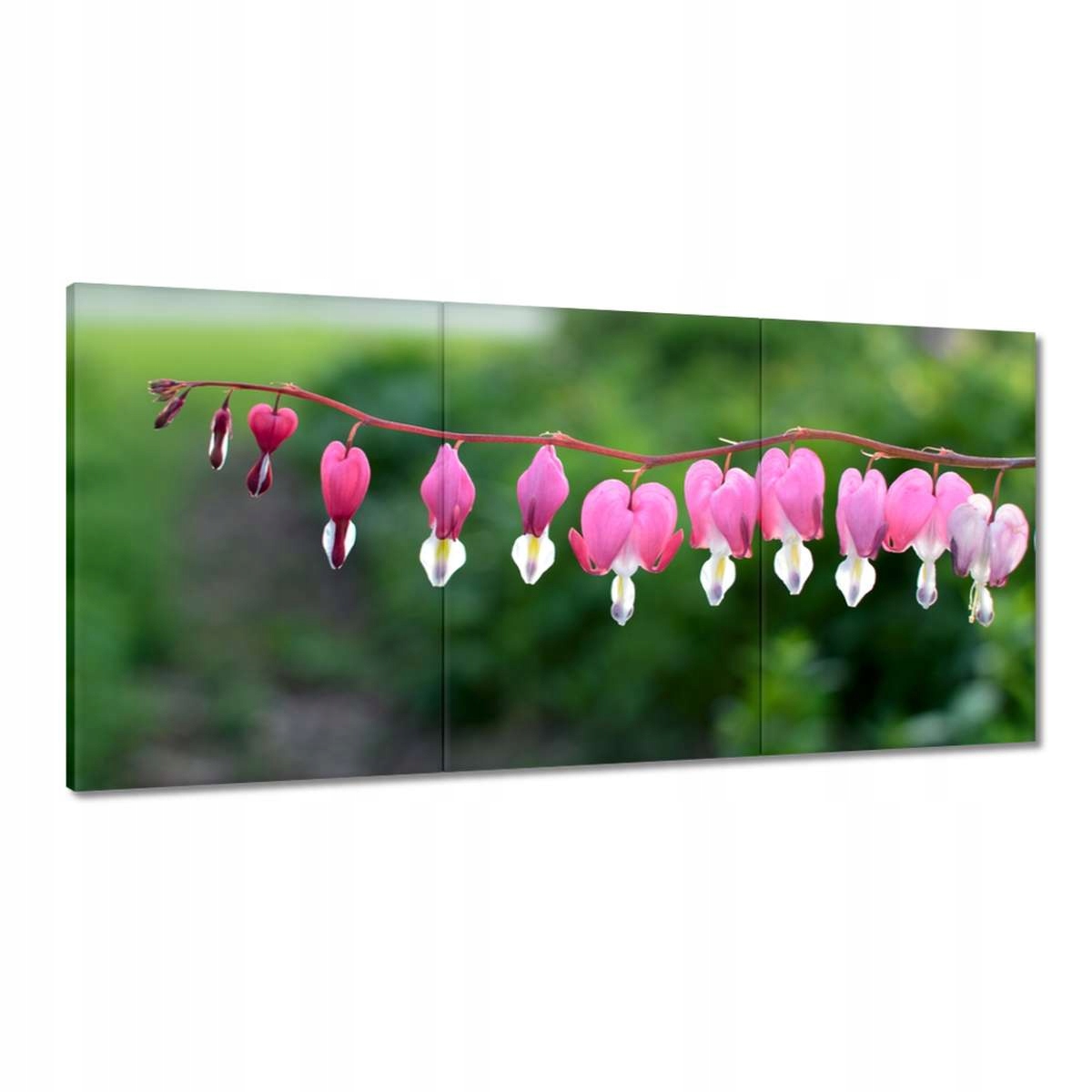 Obrazy 180x90 Srdce Márie