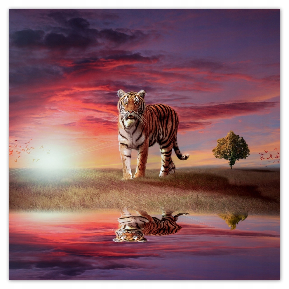 

Fototapety flizelina 208x208 Tygrys
