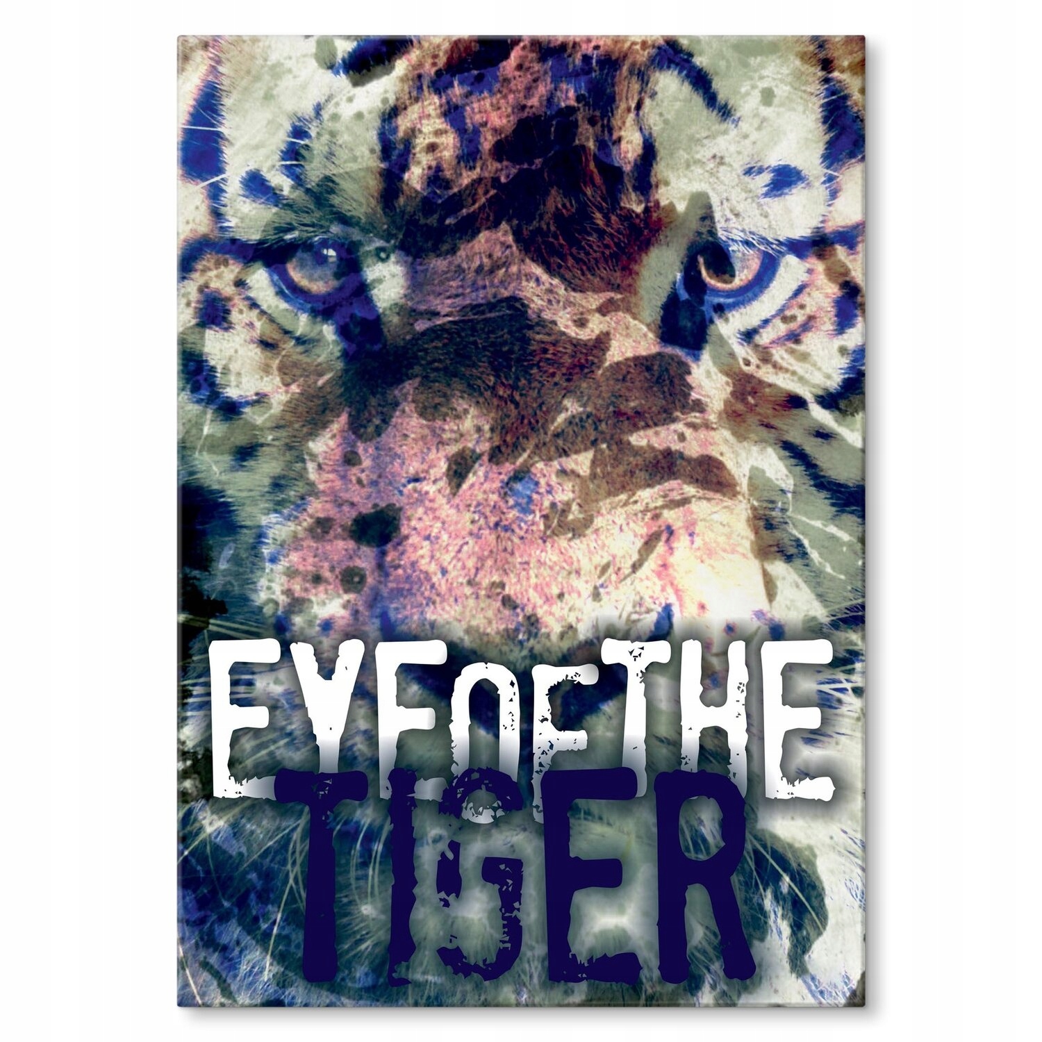 Kovový plakát Eye of the tiger Szyld Plech 30 x 42 cm Dárek