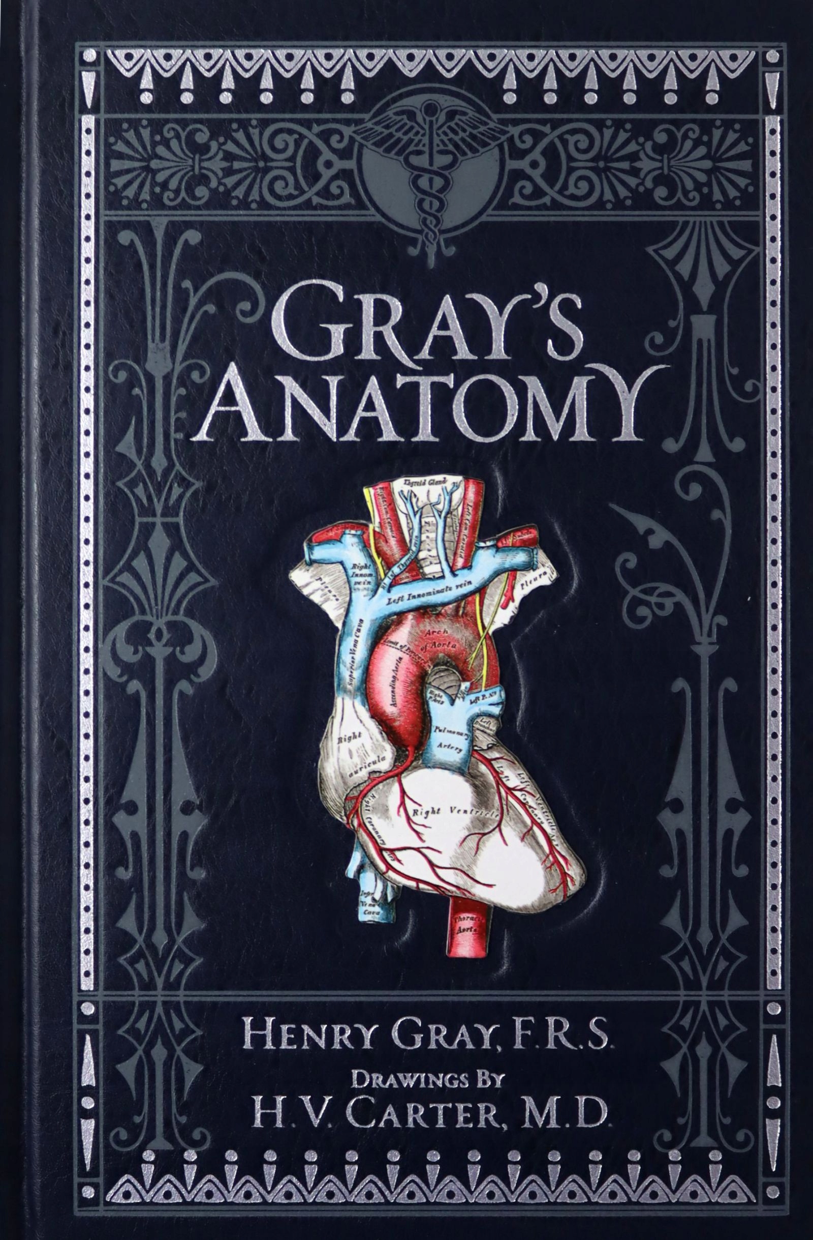 

Gray's Anatomy: Barnes+noble Collectible Editions
