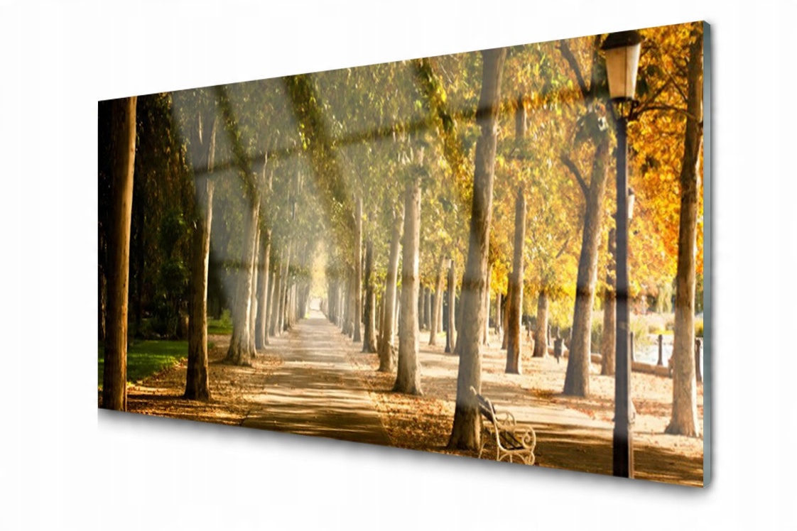 

Panel szklany dekoracyjny Park Alejka 100x50