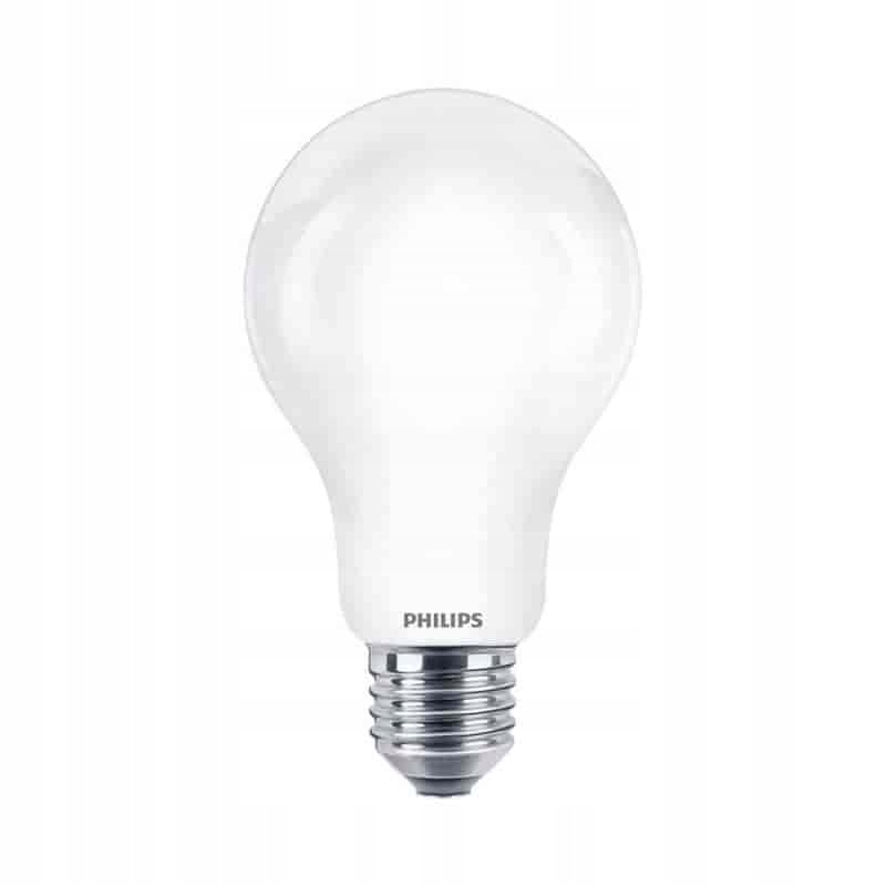 Philips Led žárovka E27 17,5W 2452lm Studená 6500K A67 10 kusů