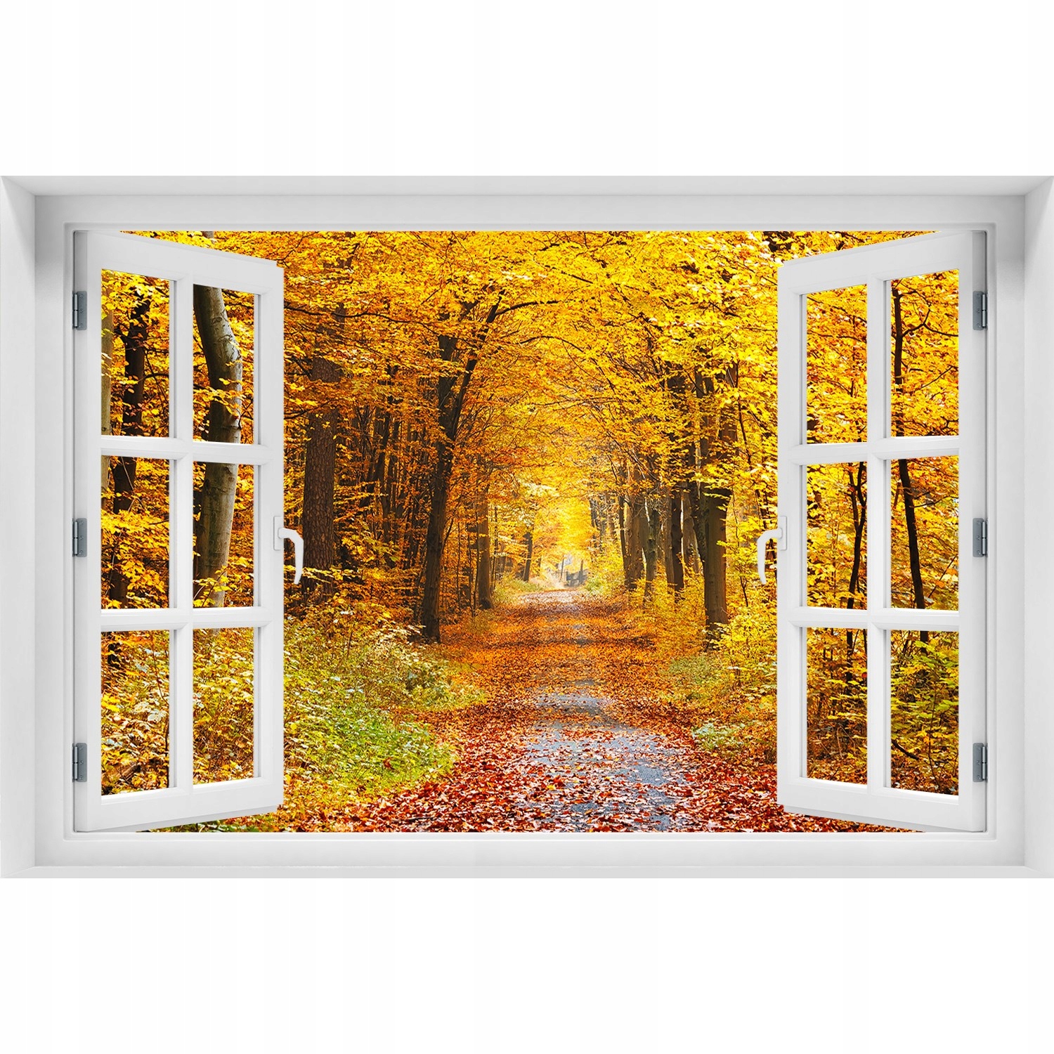 

Naklejka fototapeta Okno Las jesienią 150x100