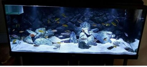 Substrát LIGHT SAND Quartz 0-0,5 Akvárium 25 kg Kód výrobcu AQUARIUM SAND