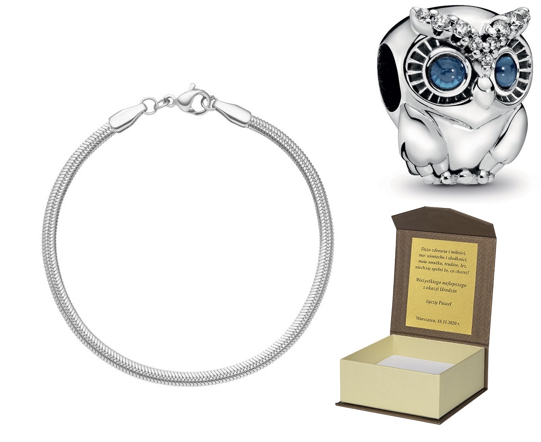 Náramek Stříbro pro Charms Dárek 16 cm B184