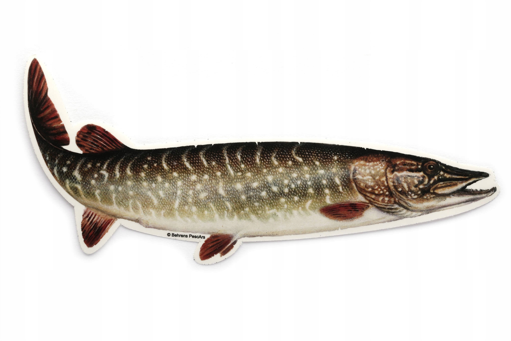 Naklejka Wędkarska Jenzi Szczupak 22cm