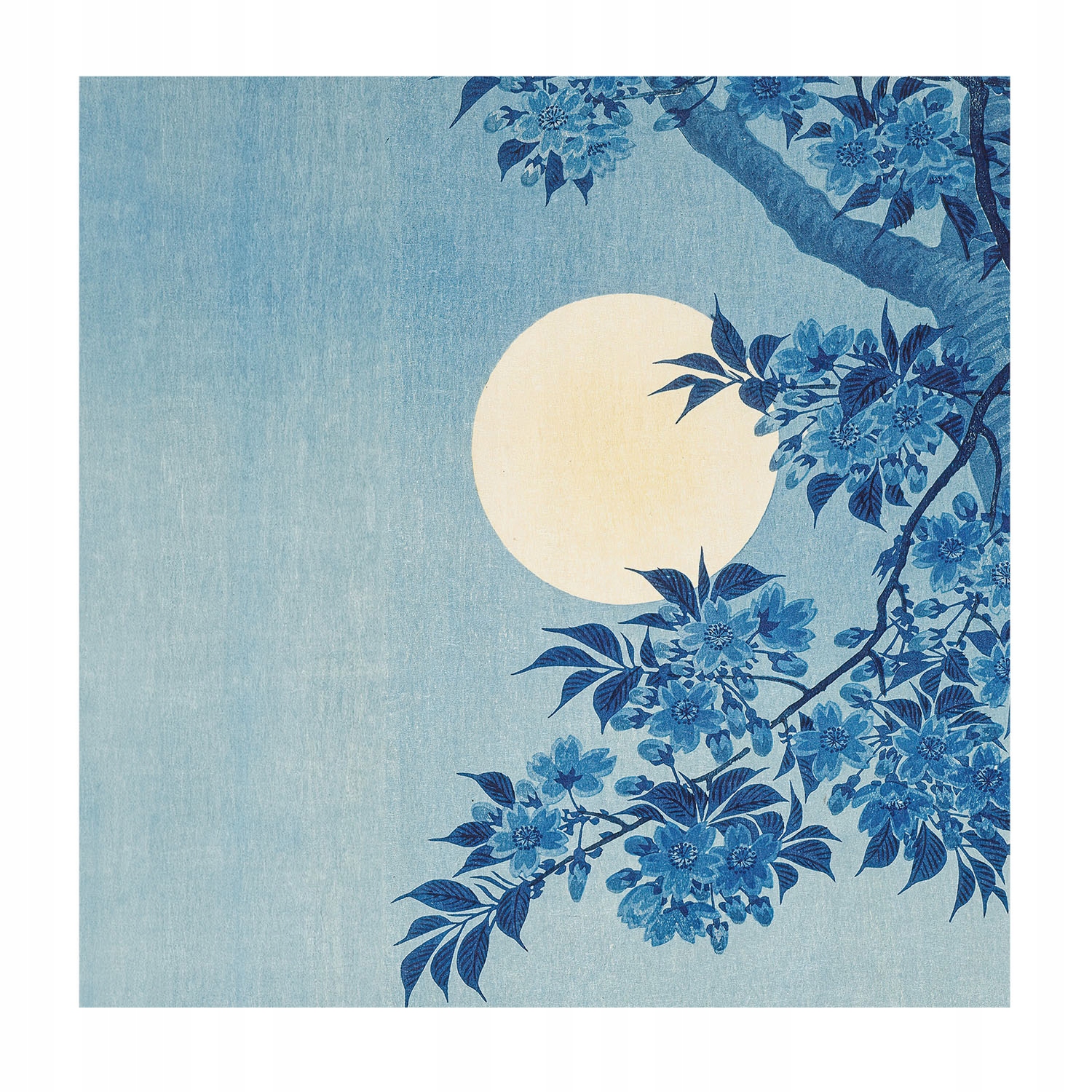 Módna tapeta na vliese Nástenná dyha Kvetinový mesiac 250x250 lepidlo