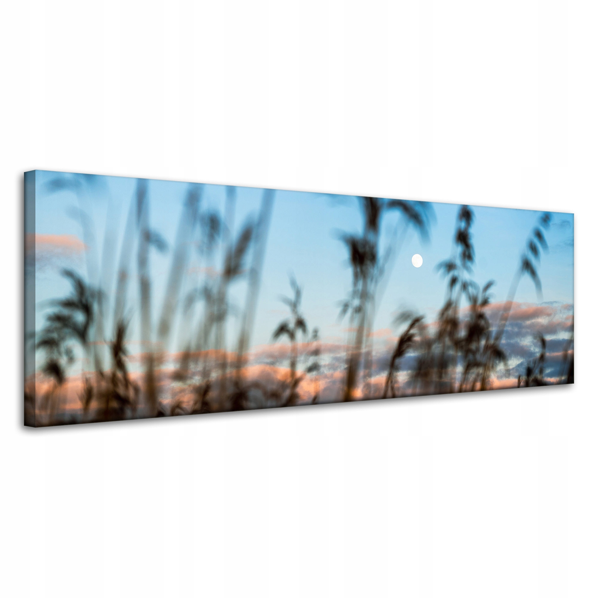 Obraz na plátně Příroda Polana Louka Východ Slunce 120x40