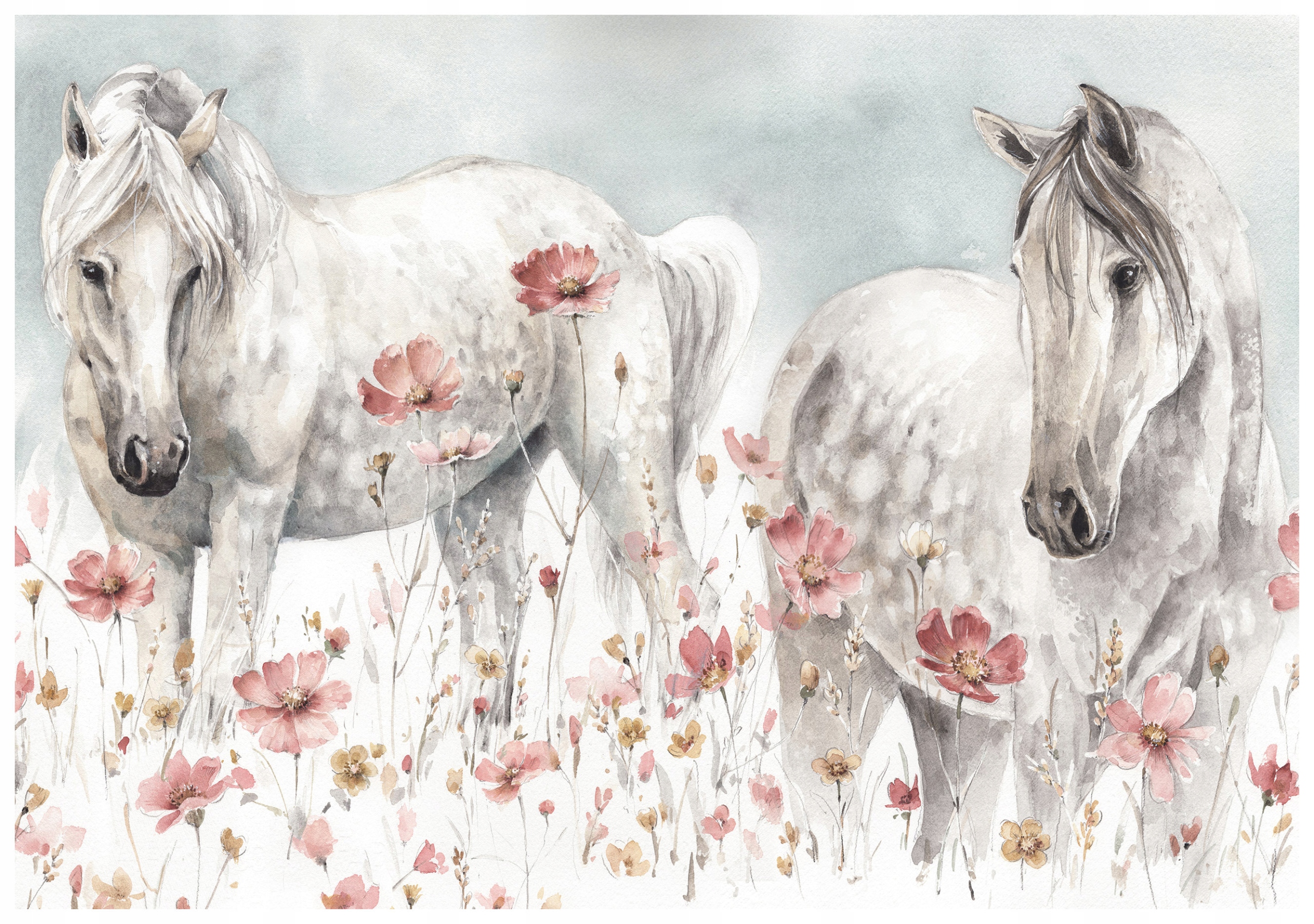 Fototapeta Koně v mácích Provence Louka Bílá jemná 250x175 lepidlo