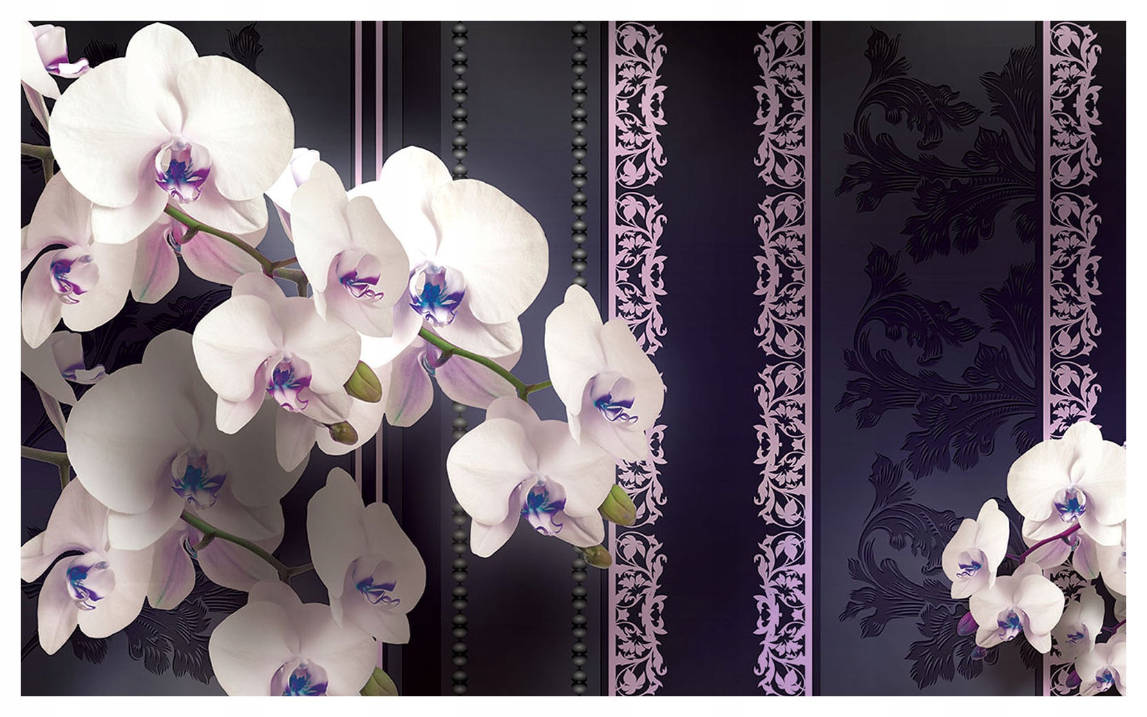 Fototapeta Orchidea na tmavom pozadí vinylová 254x184 lepidlo