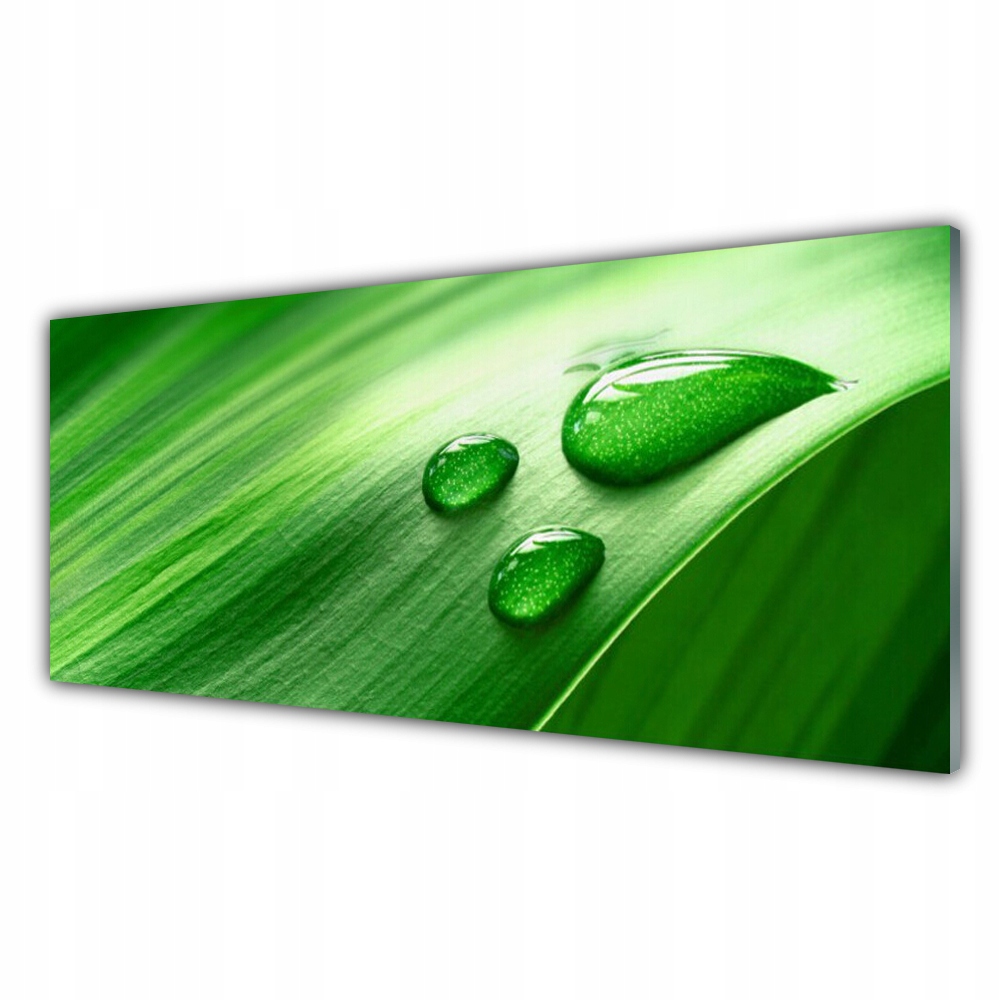 

Fotoobraz akryl ścienny 125x50 cm Liść Woda Krople