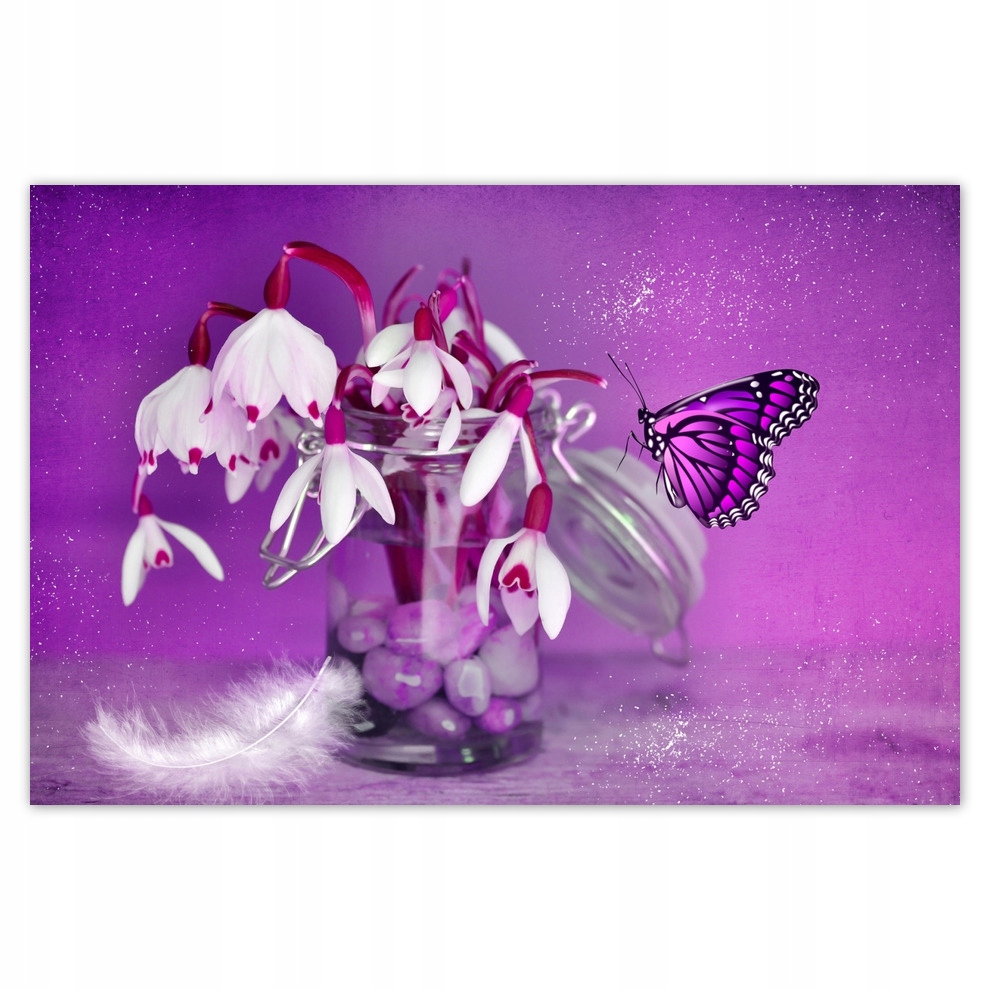 

Plakaty 93x62 Przebiśniegi i motylek