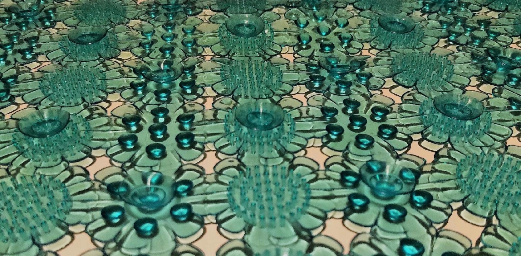 MATA ANTYPOŚLIZGOWA DO WANNY BRODZIKA CACTUS Z Marka EVG