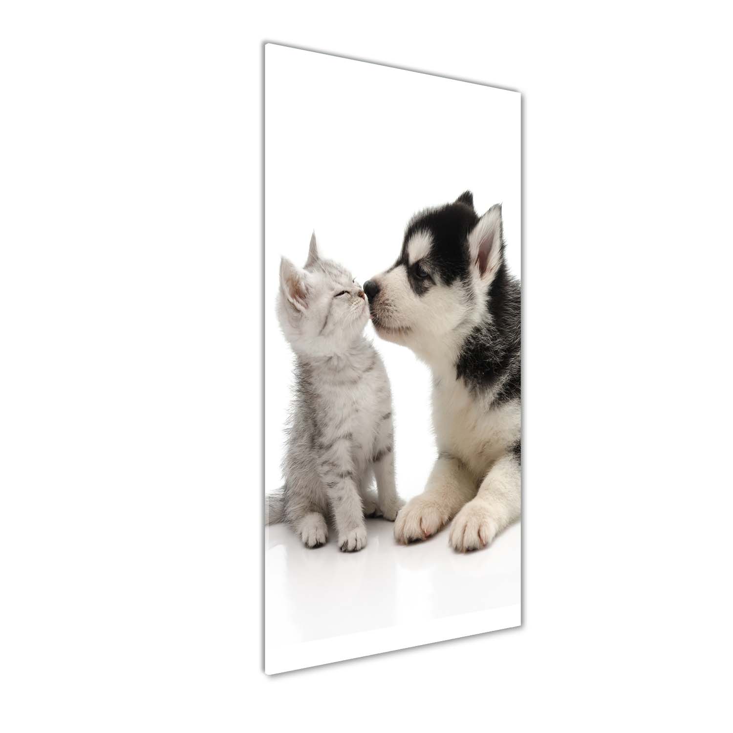 

Foto obraz akrylowy na ścianę Pies i kot 50x125cm