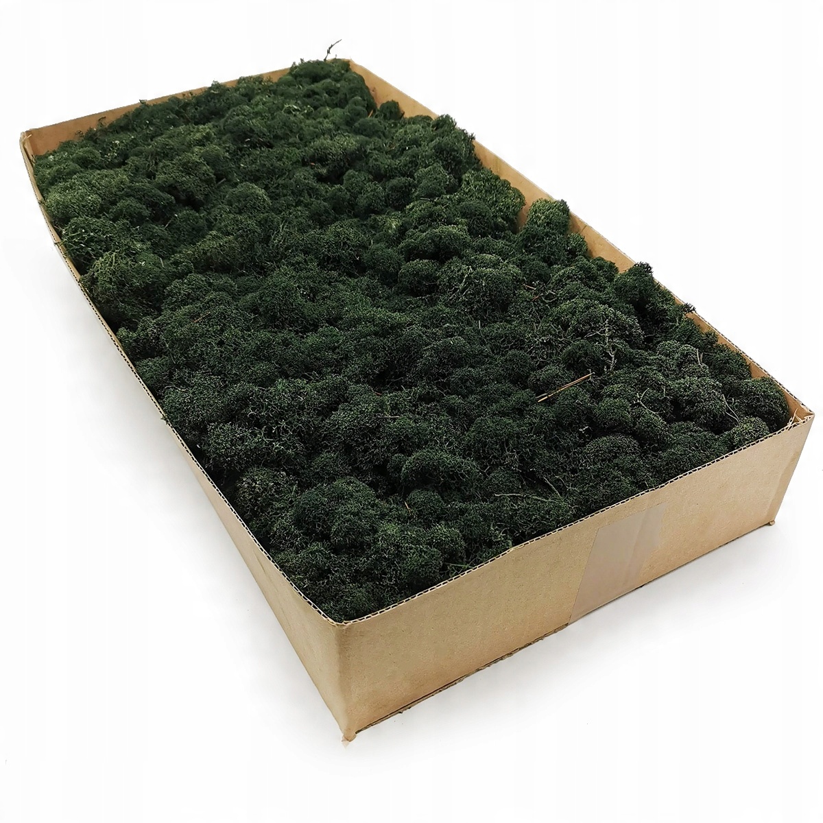 

Mech chrobotek fiński 500g