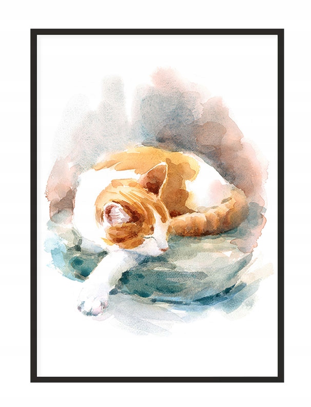 

Obraz Plakat W Ramie 33x43 cm Kot P1432