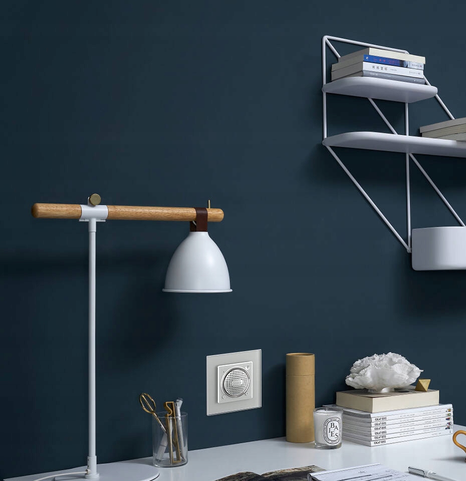 WBS-62 Moduł czarny głośnika bluetooth Livolo Moc 3 W