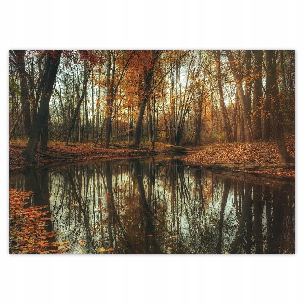 

Plakaty 70x50 Jesienny pejzaż Krajobraz