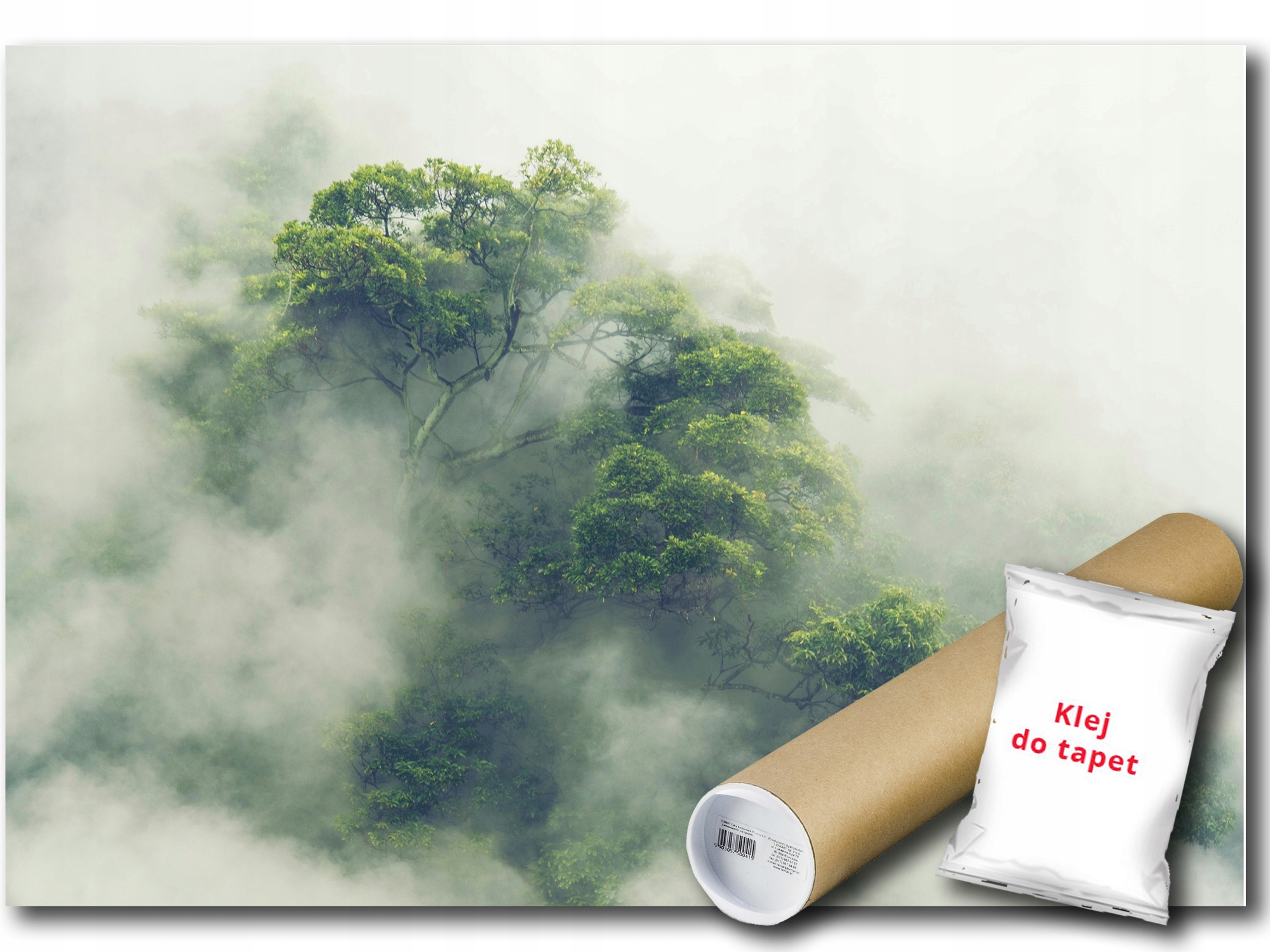 Fototapeta Flizelina Les Stromy Déšť Mlha Krajina 150x105 lepidlo bonus