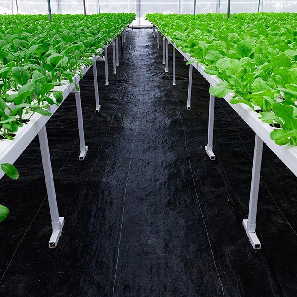 MOCNA AGROWŁÓKNINA ANTYCHWASTOWA AGROTKANINA NA CHWASTY GRUBA 70g/m2 1,1x5m Kod producenta SDH322