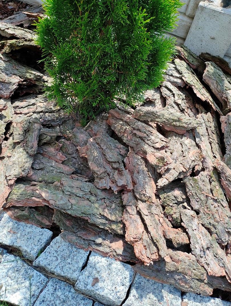 KORA SOSNOWA OGRODOWA WOREK 20L | RĘCZNY SORT | GRUBA OZDOBNA | Rodzaj sosnowa