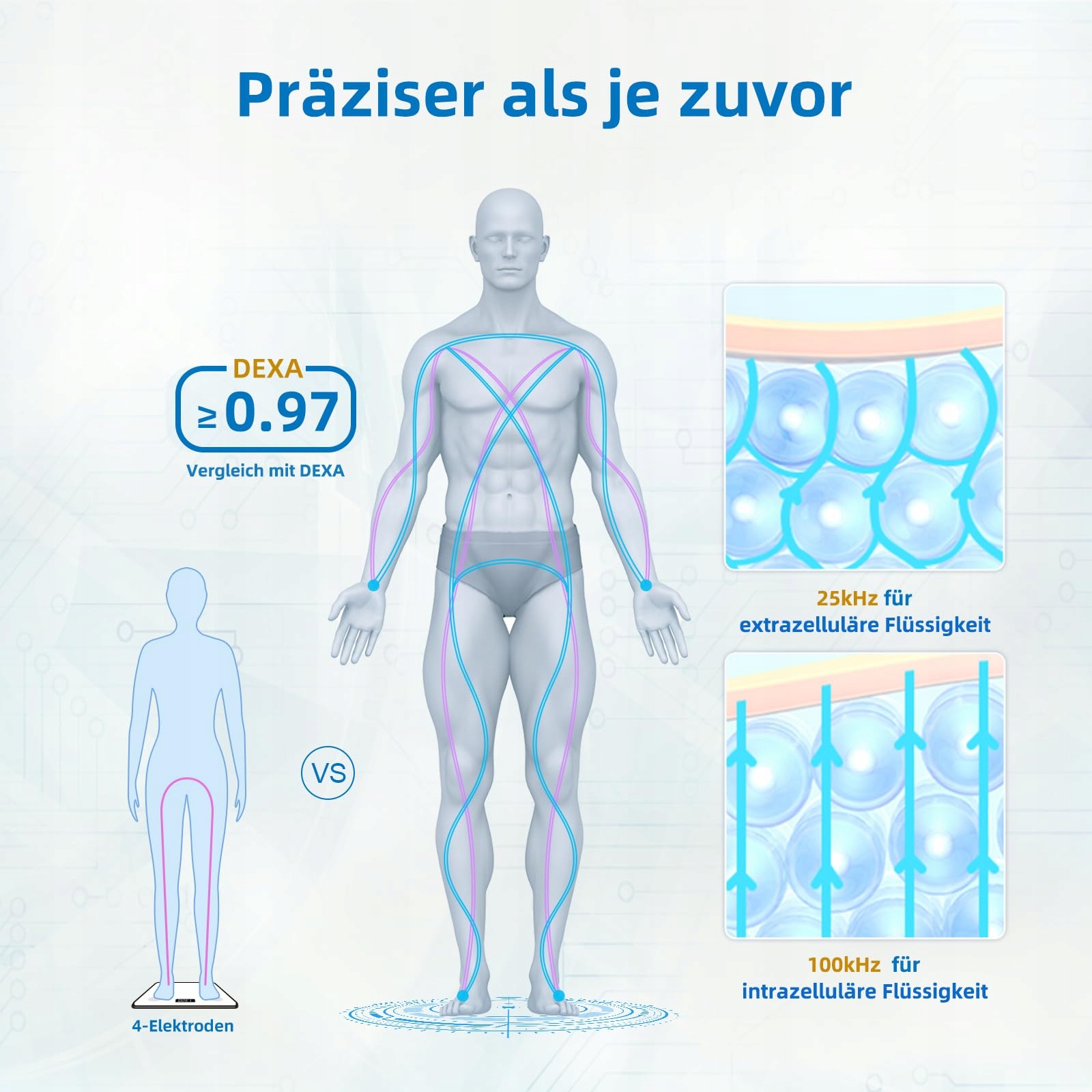 LEPULSE P1 Waga Analizująca z Aplikacją Czarna dla 24 Użytkowników — miniatura 4