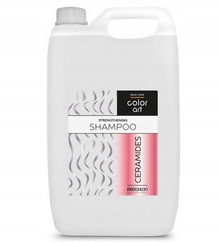 CHANTAL SZAMPON COLOR ART CERAMIDES BASIC CARE 5L