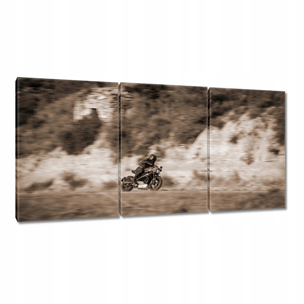 

Obrazy 120x60 Harley Davidson Motocykl