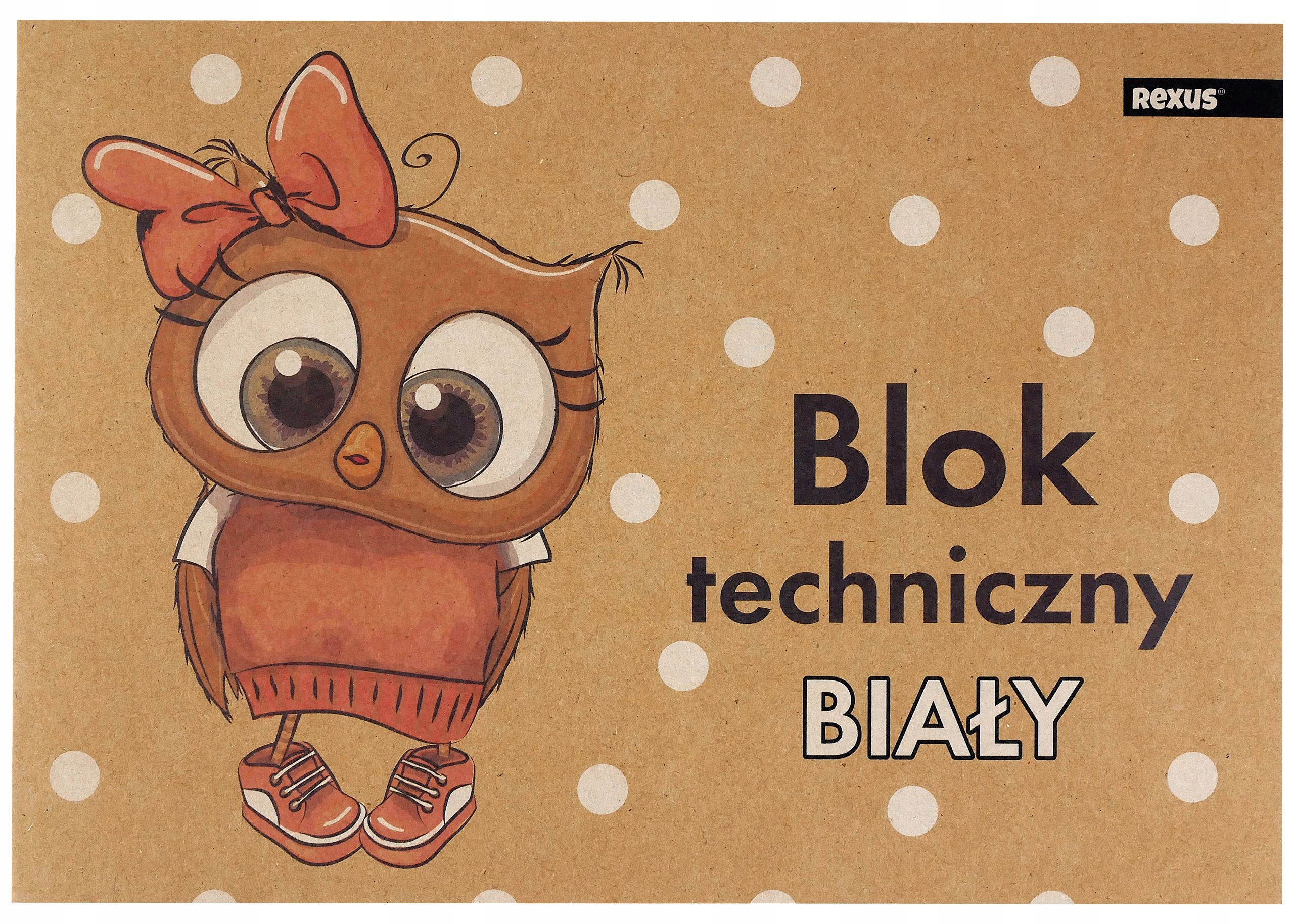 BLOK TECHNICZNY BIAŁY 10 KARTEK FORMAT A4 BENIAMIN Kod producenta 610076