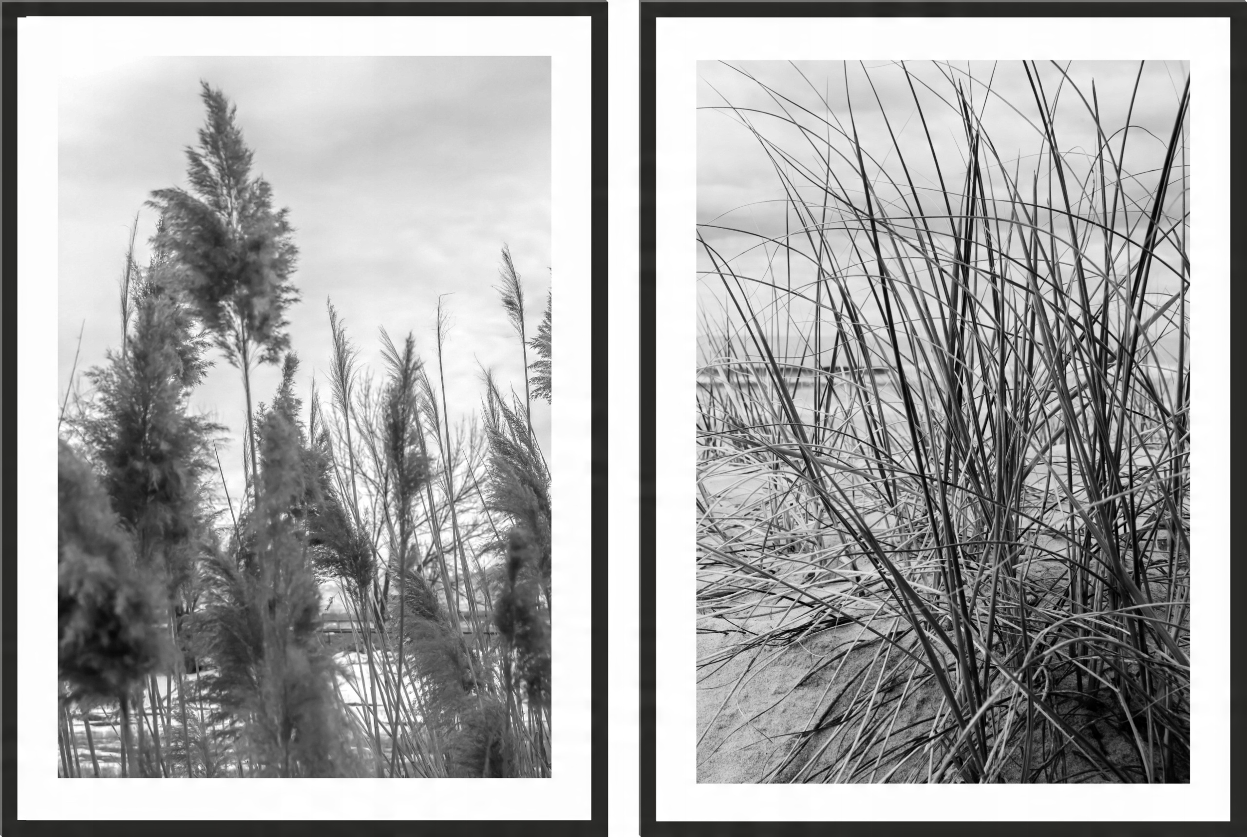 

obraz plakat dyptyk 50x70 boho sucha trawa plaża