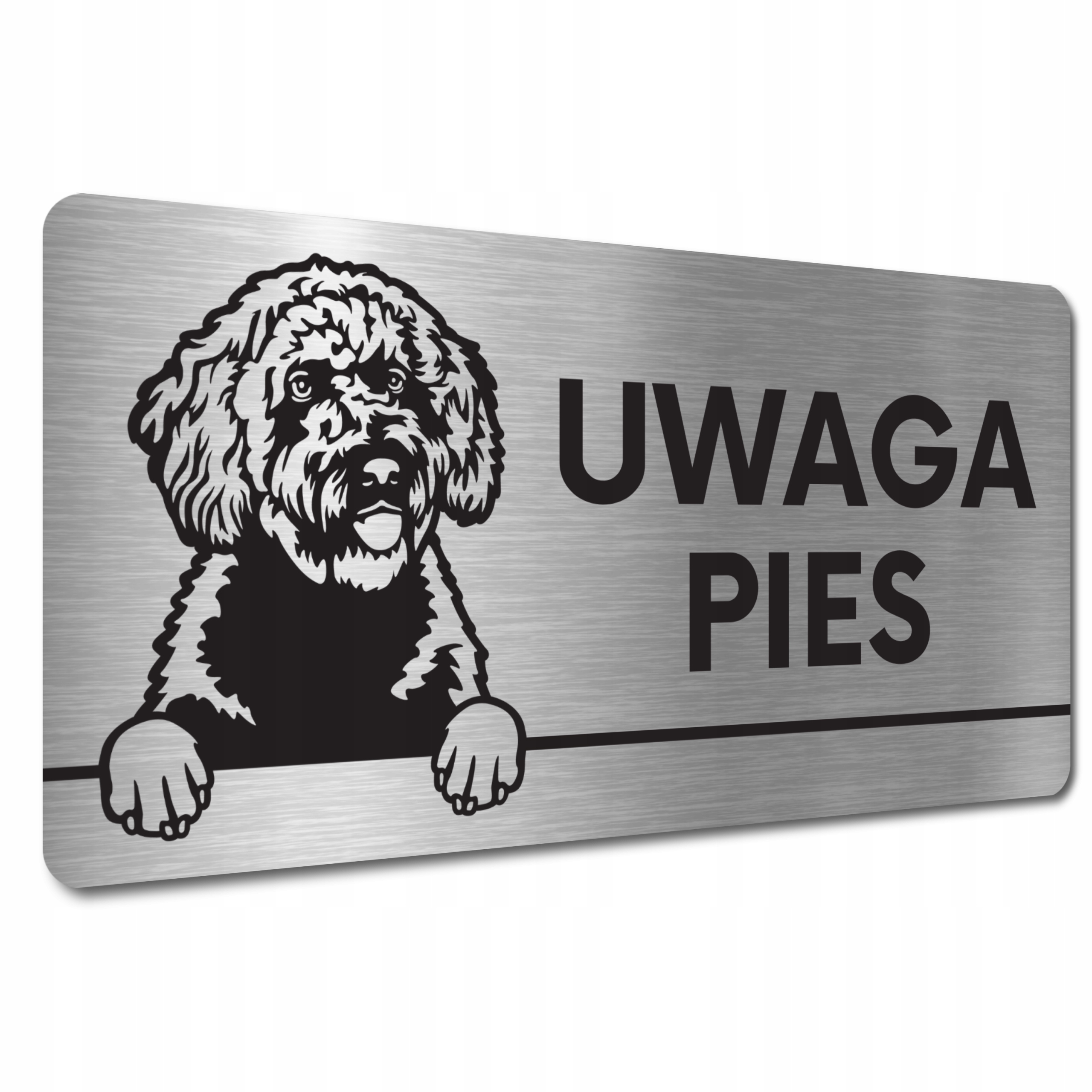 

Tabliczka Uwaga Pies Zły Hiszpański pies dowodny