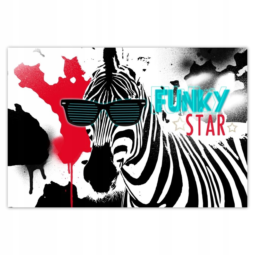 

Plakaty 60x40 Zebra Funky Star