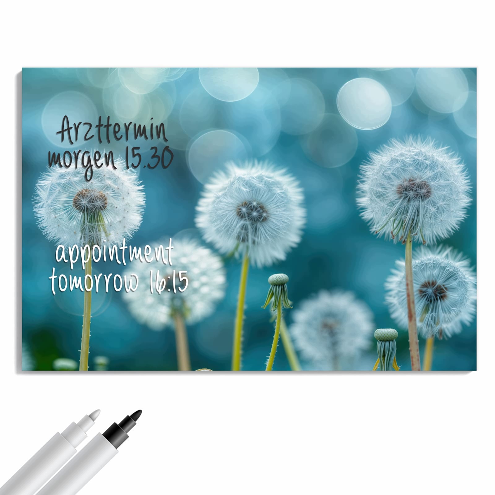 Magnetická tabule Louka s pampeliškou 60 × 40 cm