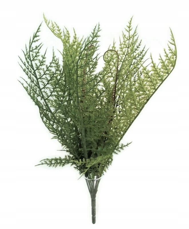 

Paproć sztuczna roślina bukiet kwiat paprotka 40cm