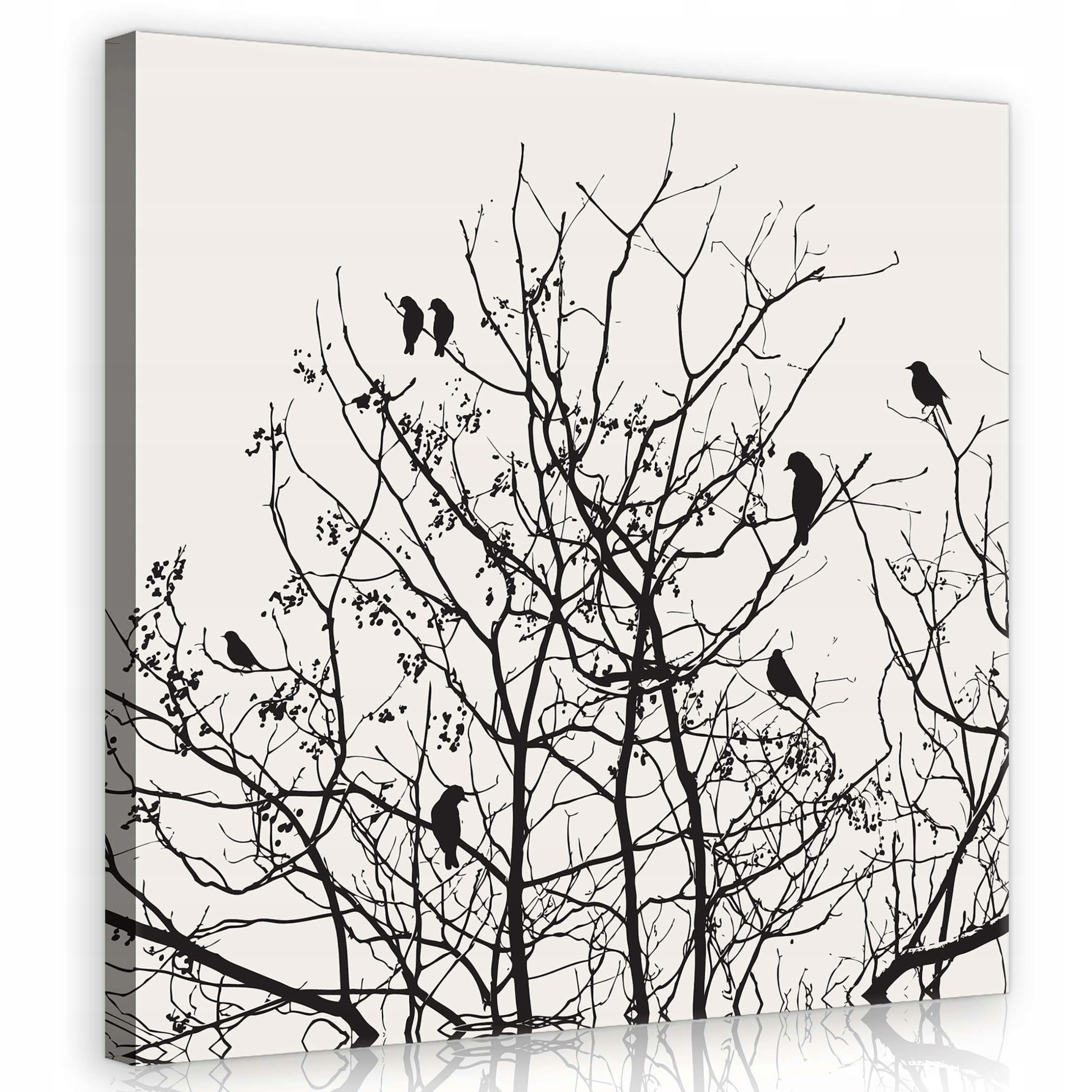 Obraz 80x80 Černobílé stromy ptáci zima minimalismus grafika klid