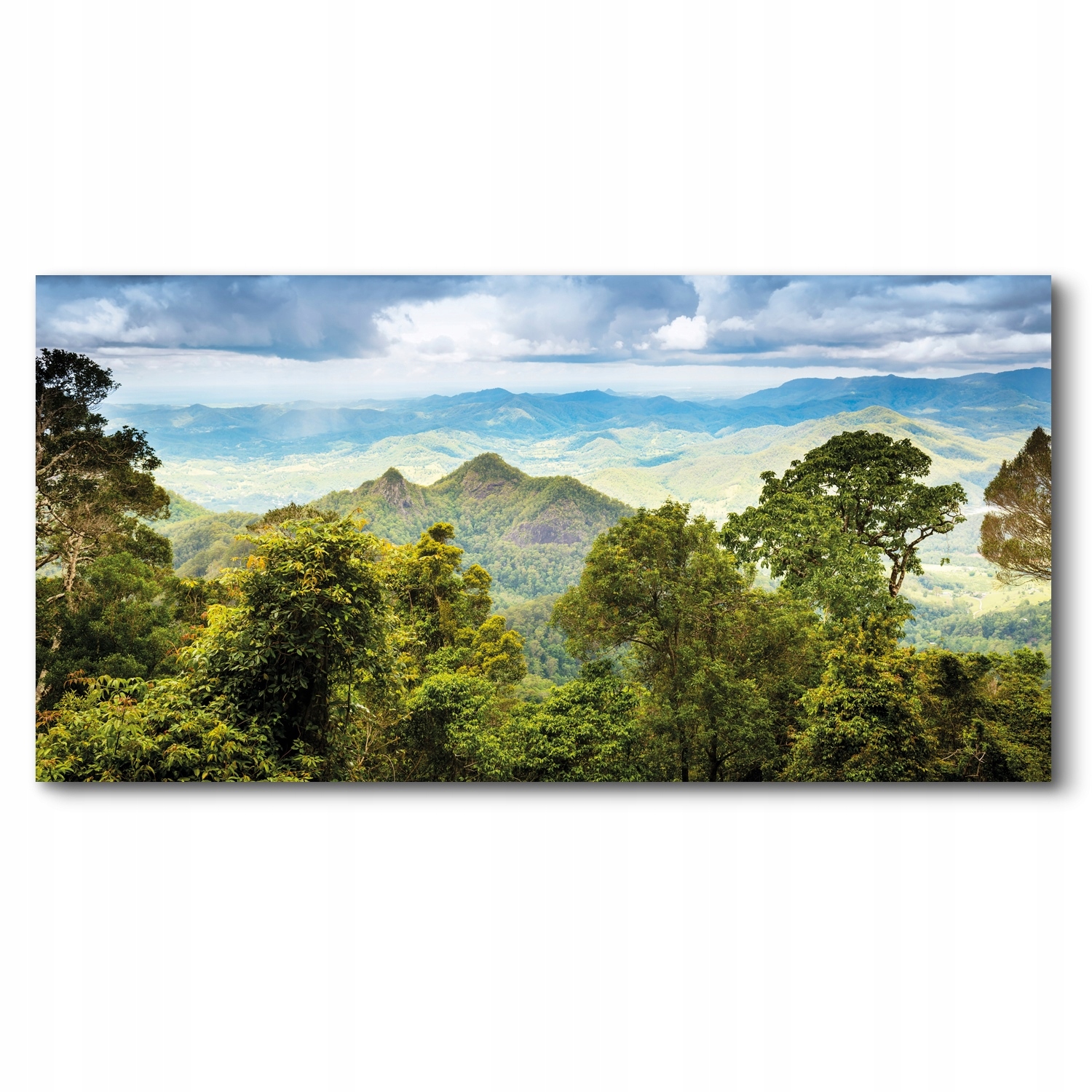 Les hory nebe 140x70 Foto-obraz canvas jako dárek