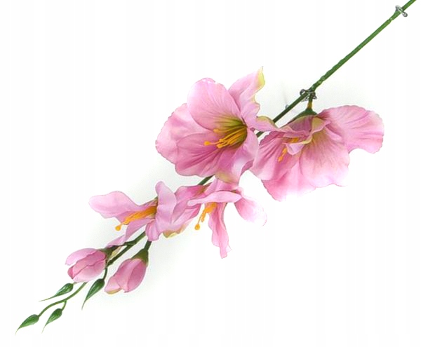 

Mieczyk gałązka wys.53 cm Pink/Mauve