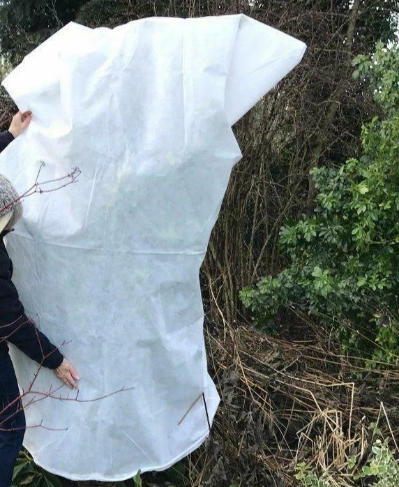 NAJGRUBSZA BIAŁA AGROWŁÓKNINA ZIMOWA 70 GR 1,6x50m Producent inna