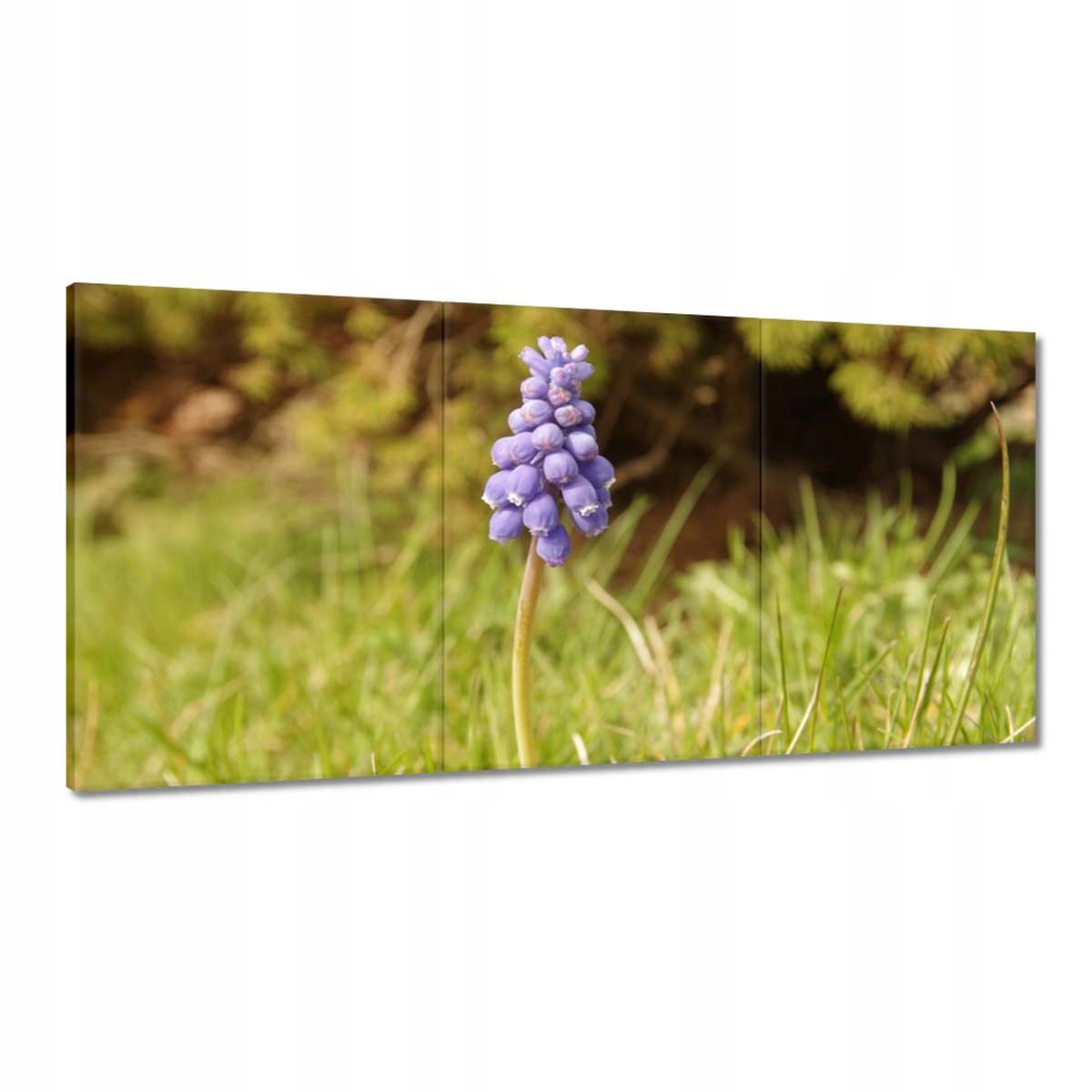 Obrazy 180x90 Fialový kvet