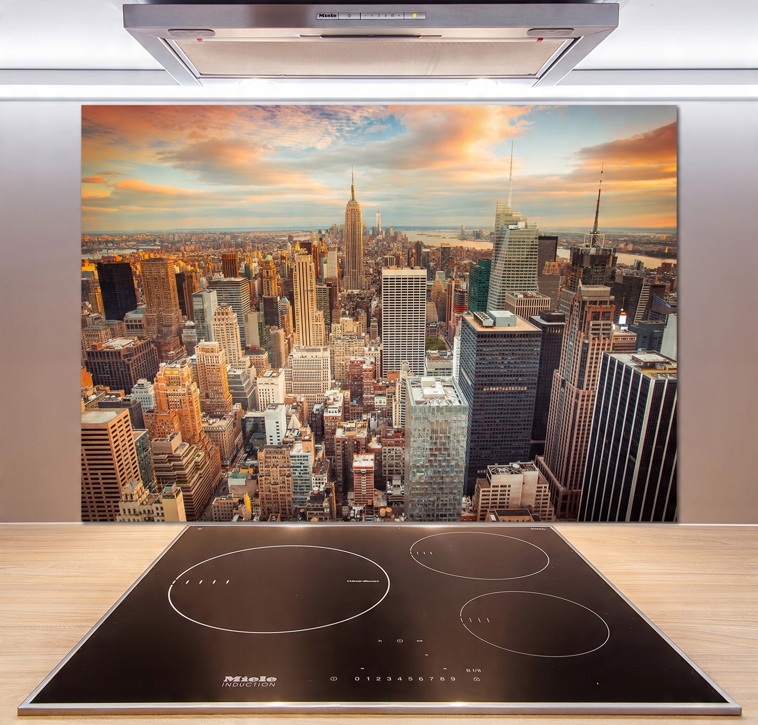 

Panel lacobel Nowy Jork lot ptaka 100x70 cm + Klej