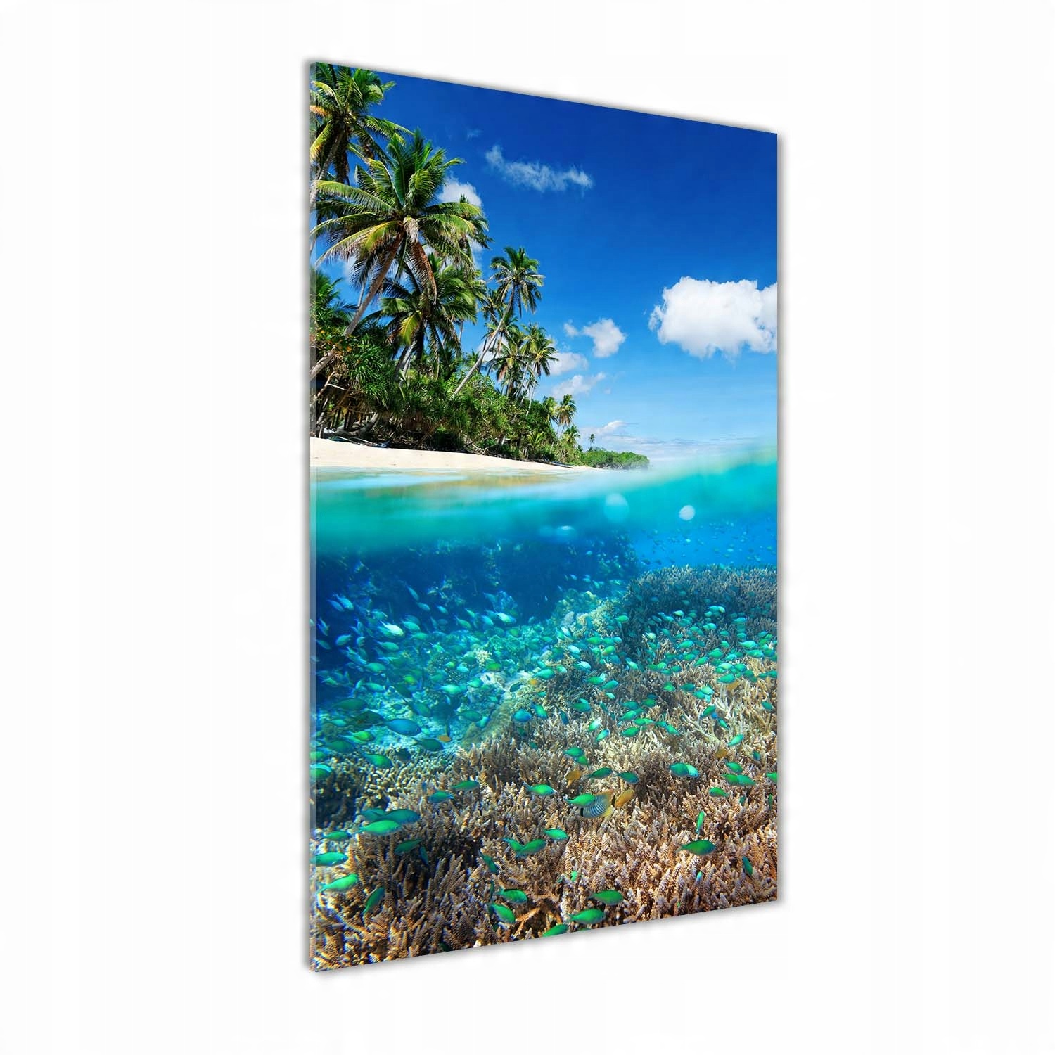 

Foto obraz szkło hartowane Rafa koralowa 60x120 cm