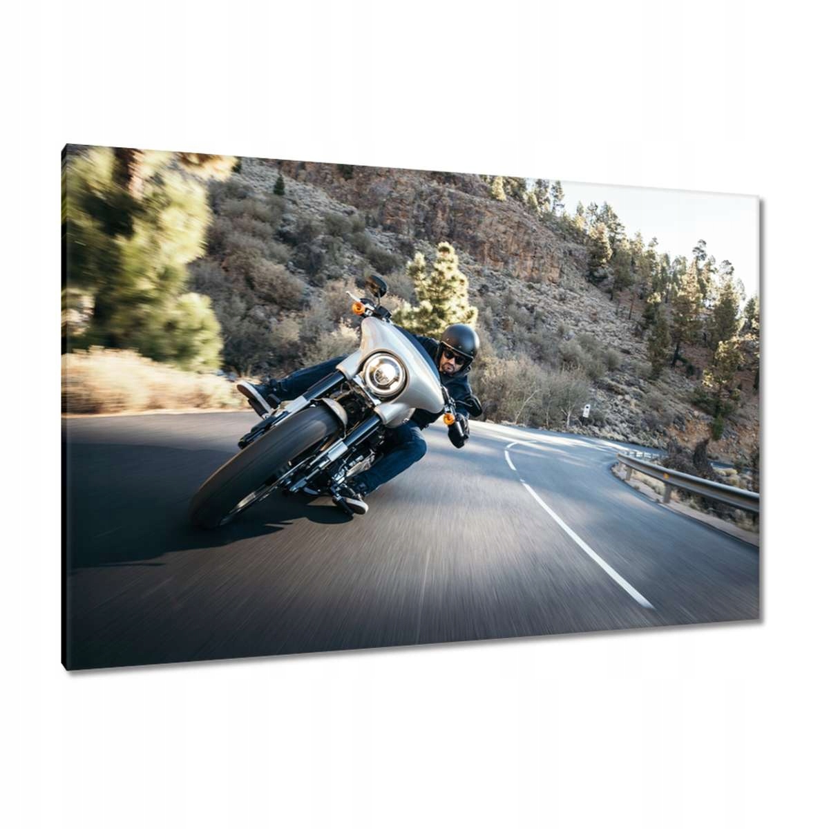 Obrazy 120x80 Harley Davidson Motocykl