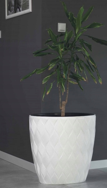 Form Plastic Donica Elipsa Flow 60 antracyt Rodzaj Doniczka