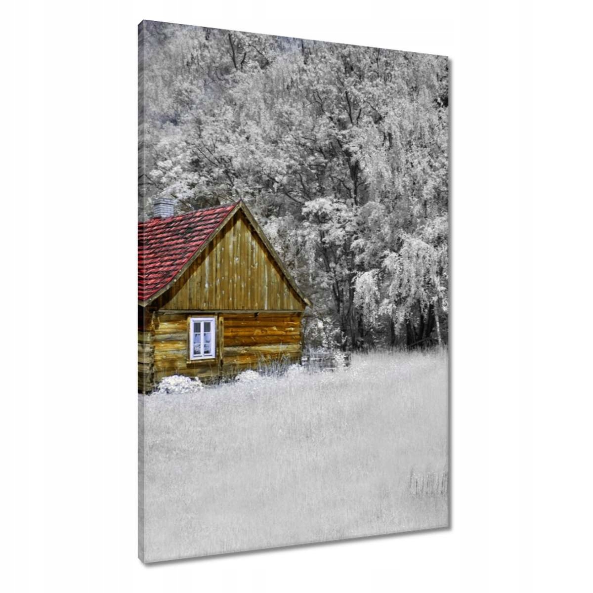 Obrazy 60x90 Dřevěný dům Bale