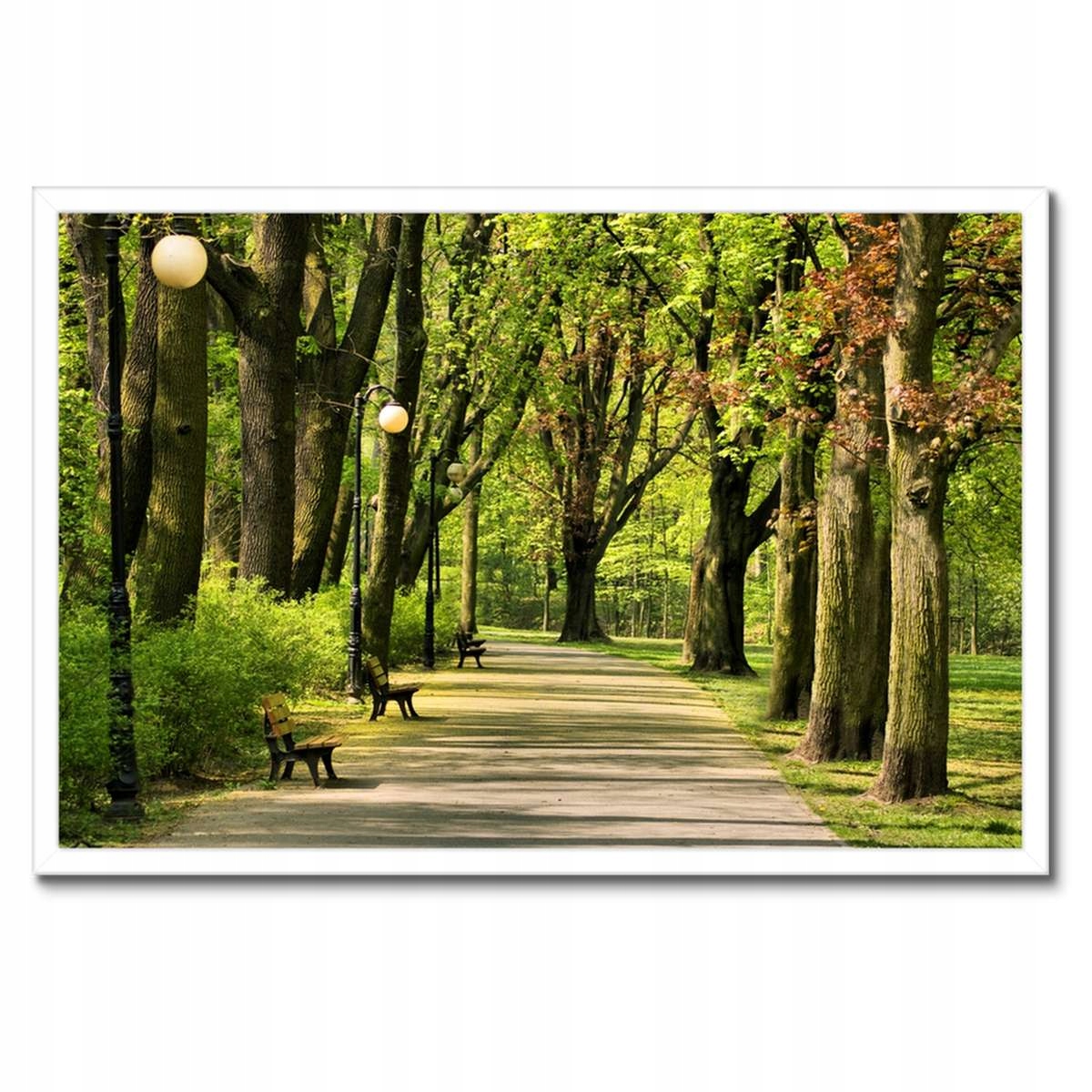 Plakáty v rámu 60x40 Park Citadela