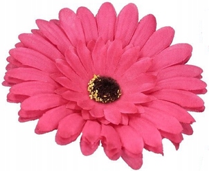 Główka Gerbera średnica 10 cm Amarantowa